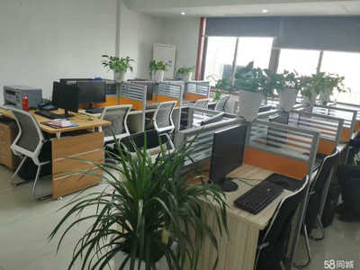 义乌新硕网络科技