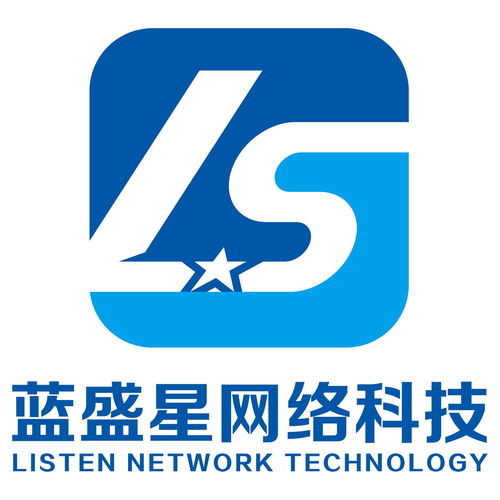 合肥蓝盛星网络科技 创新驱动，引领数字化未来