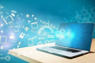 网络公司的主要业务与运营方向